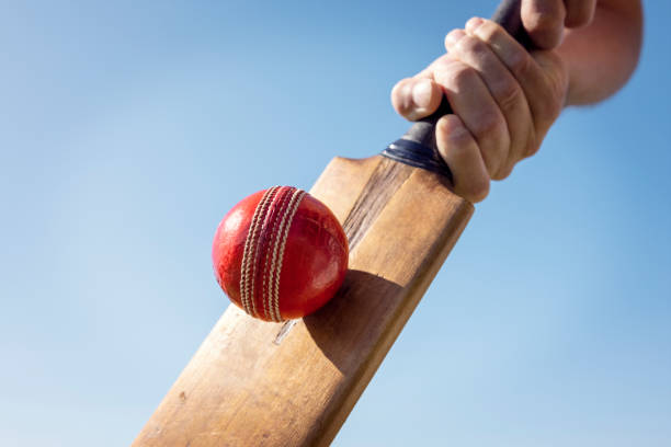 Evaluating the impact of odds movement on cricket betting decisions