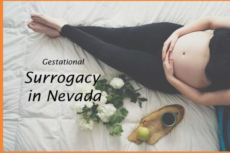 Surrogacy in Nevada: Complete Guide with OneWorld Generations for Parents & Surrogates