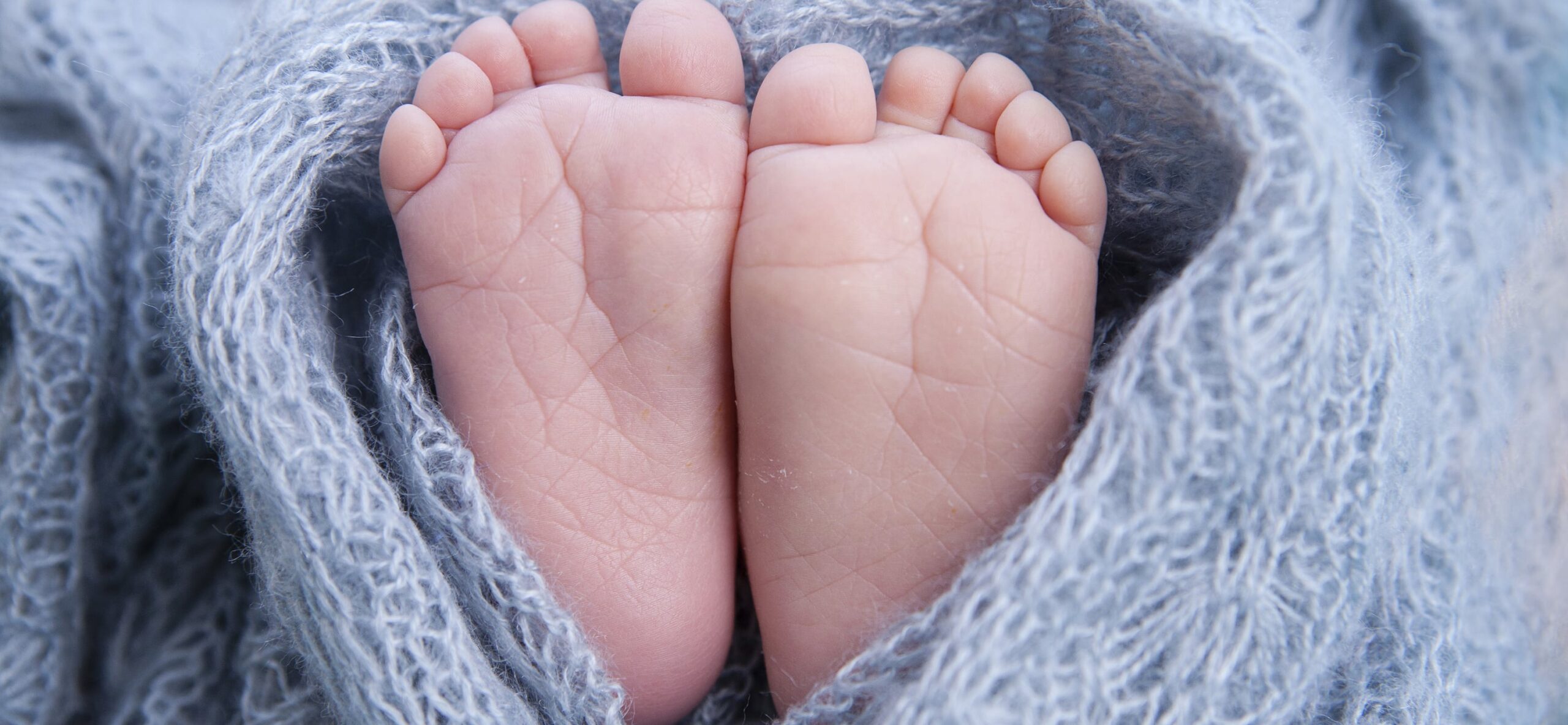 Oregon Surrogacy Center